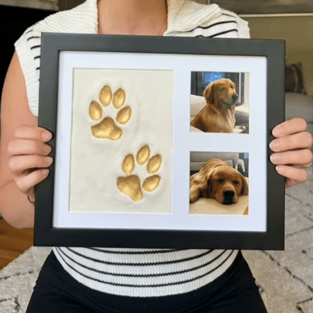 The Clay Paw Print Bundle