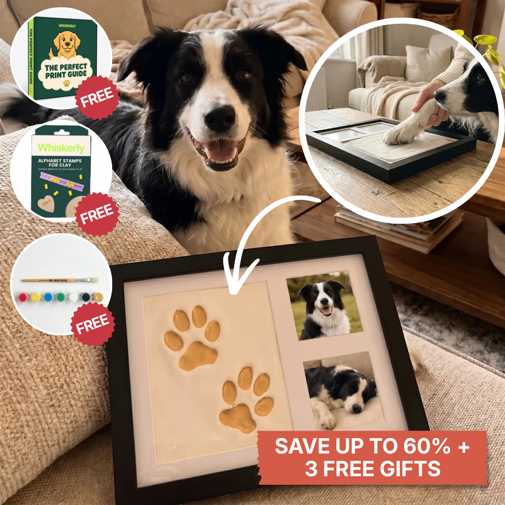 The Clay Paw Print Bundle